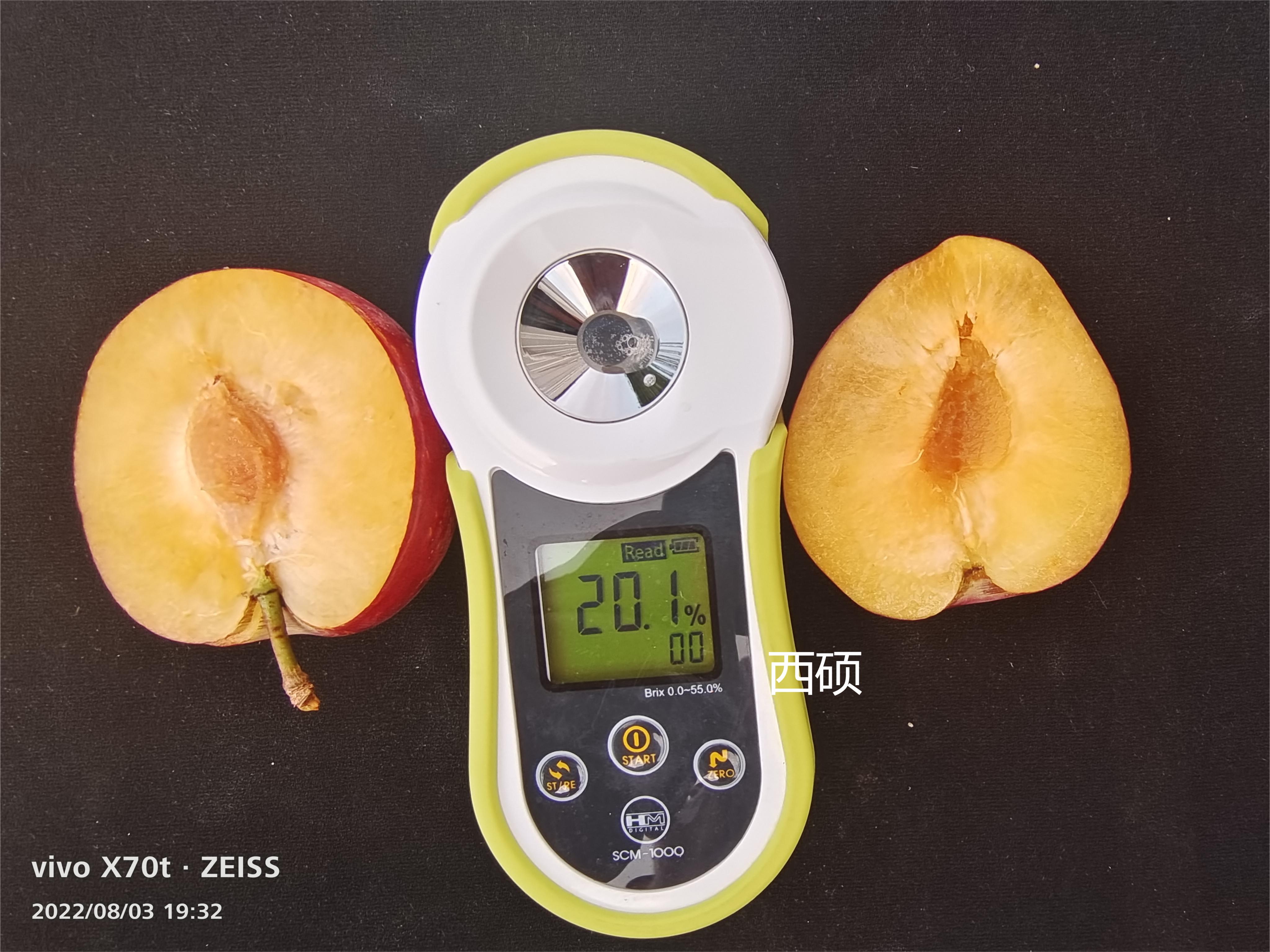 西硕可溶性固形物含量.jpg